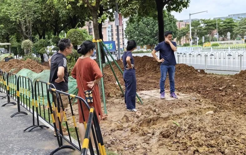 GZLI出品 | 共建城市森林大道 | 白云新城道路绿化焕新颜
