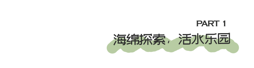 GZLI出品 | 共建城市森林大道 | 白云新城道路绿化焕新颜