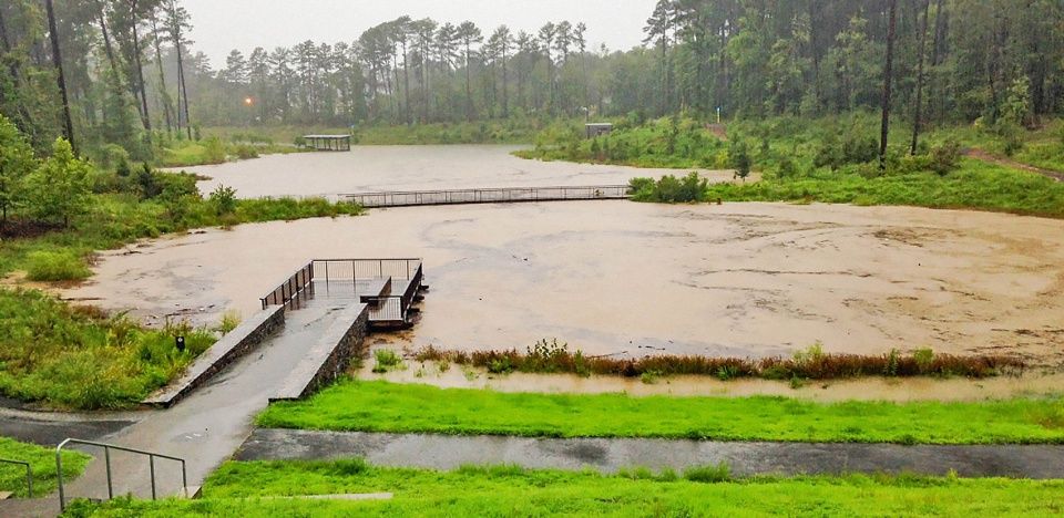 杜克大学雨水池塘 | 景观与教育的完美结合
