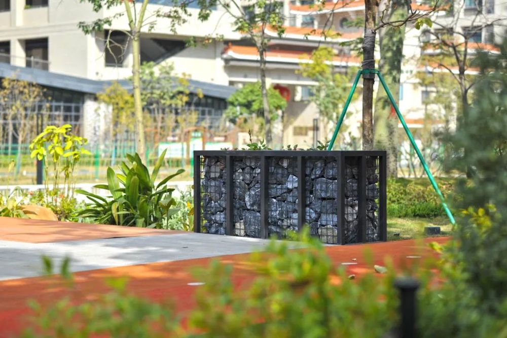 GZLI出品 | 共建城市森林大道 | 白云新城道路绿化焕新颜