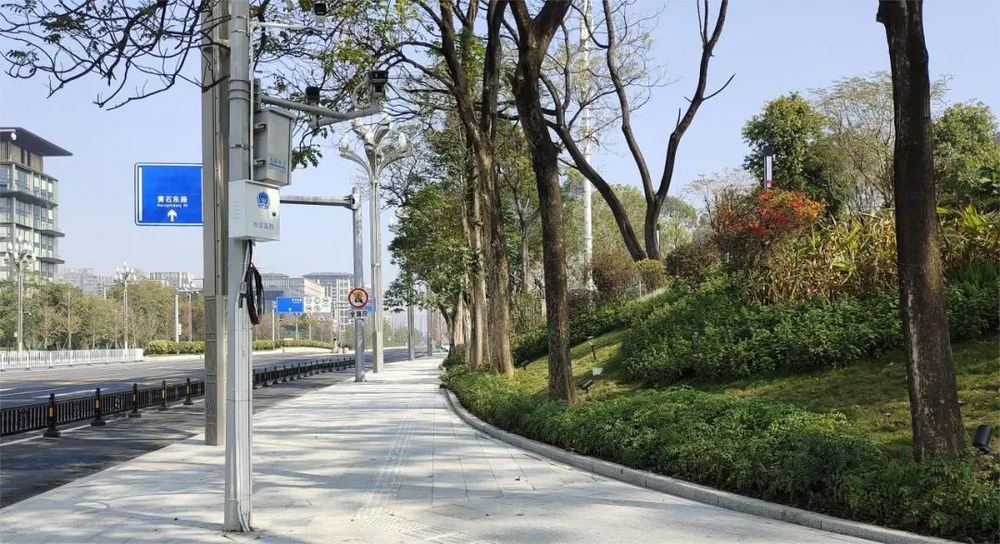 GZLI出品 | 共建城市森林大道 | 白云新城道路绿化焕新颜