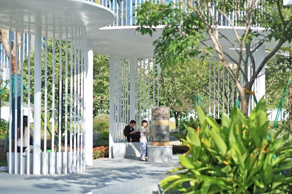 GZLI出品 | 共建城市森林大道 | 白云新城道路绿化焕新颜