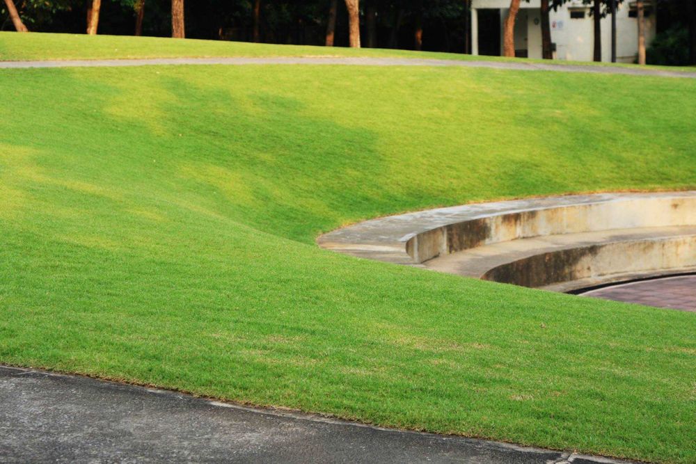 PARK in Commemoration of H.M. the King’s 6th Cycle Birthday