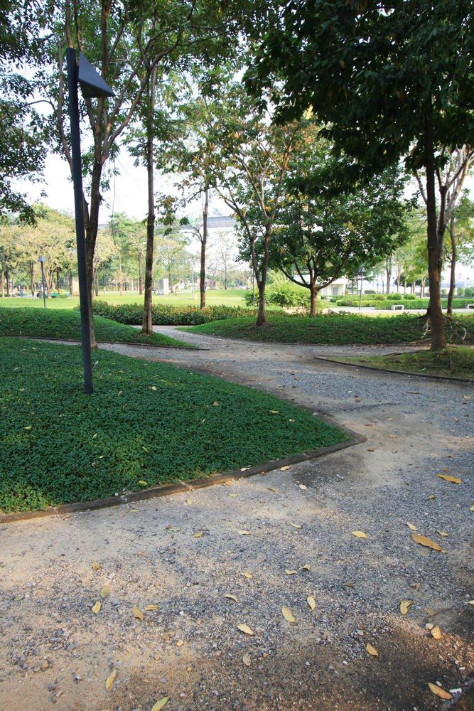PARK in Commemoration of H.M. the King’s 6th Cycle Birthday