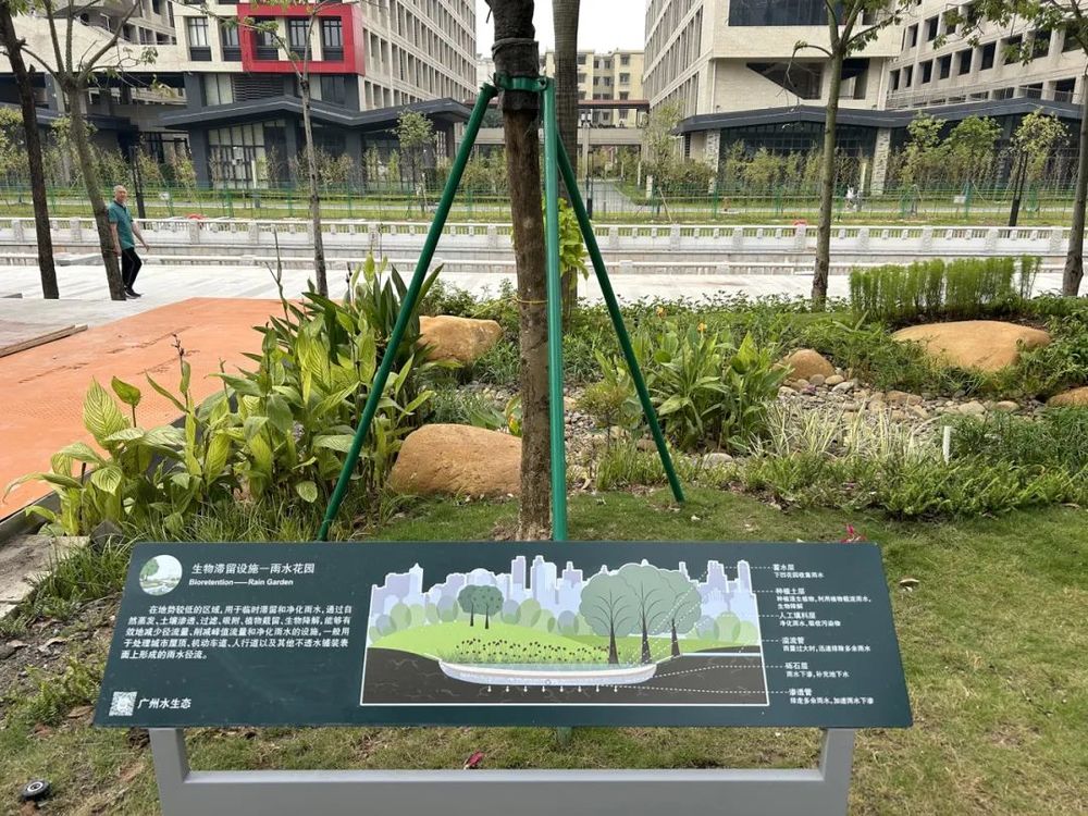 GZLI出品 | 共建城市森林大道 | 白云新城道路绿化焕新颜