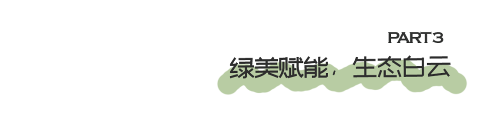 GZLI出品 | 共建城市森林大道 | 白云新城道路绿化焕新颜
