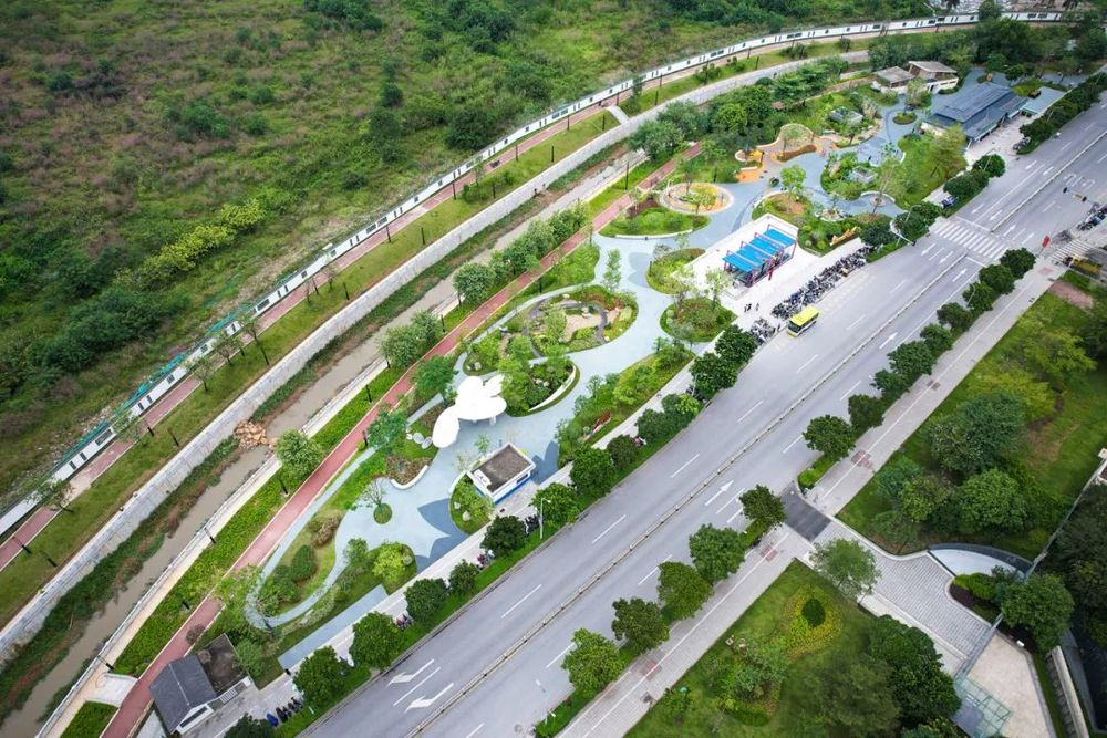 GZLI出品 | 共建城市森林大道 | 白云新城道路绿化焕新颜