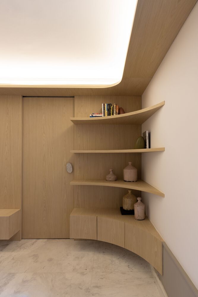巴西 São Paulo Apartment RR 有机设计空间