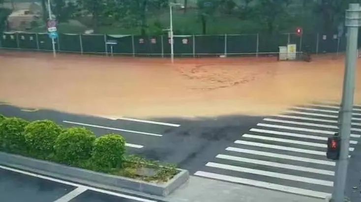 GZLI出品 | 共建城市森林大道 | 白云新城道路绿化焕新颜