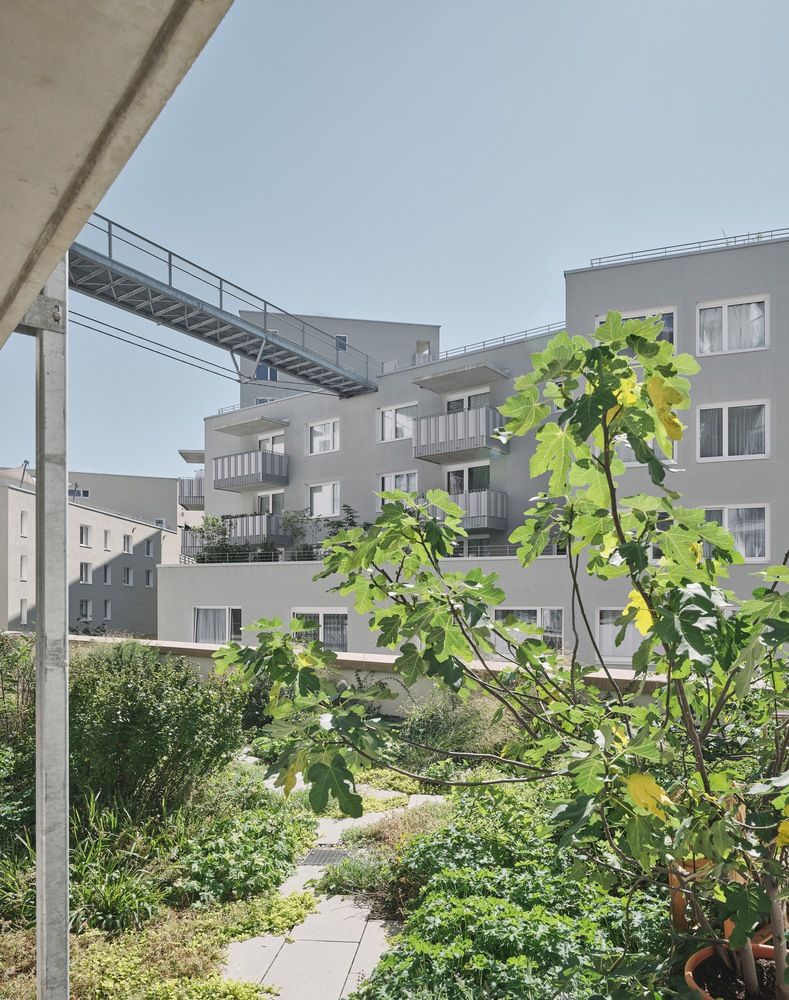 Campagne Innsbruck｜bogenfeld Architektur