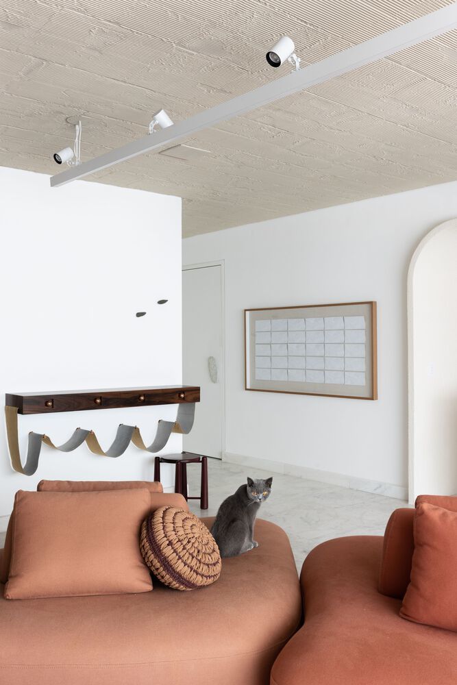 巴西 São Paulo Apartment RR 有机设计空间