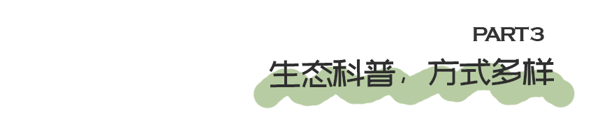 GZLI出品 | 共建城市森林大道 | 白云新城道路绿化焕新颜