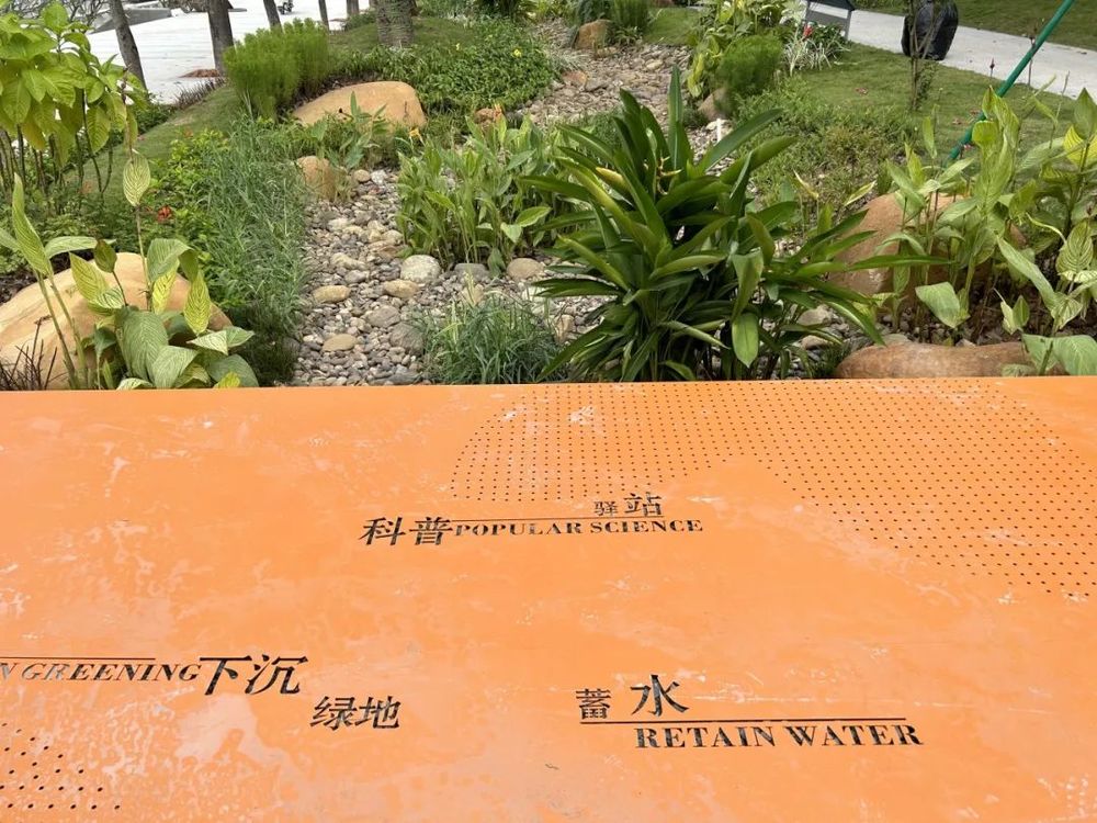 GZLI出品 | 共建城市森林大道 | 白云新城道路绿化焕新颜