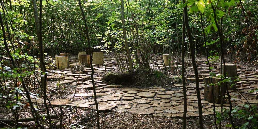 乌斯特市 Wildwood 自然林地广场 | 景观与功能的完美融合