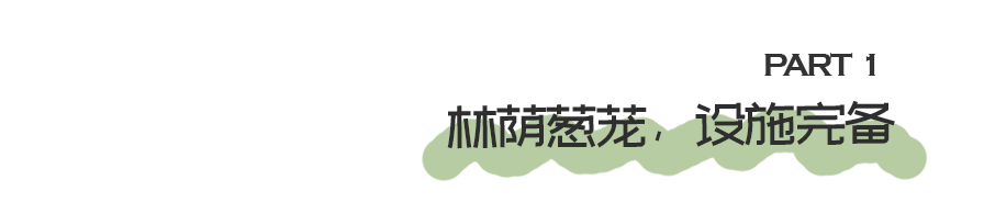 GZLI出品 | 共建城市森林大道 | 白云新城道路绿化焕新颜