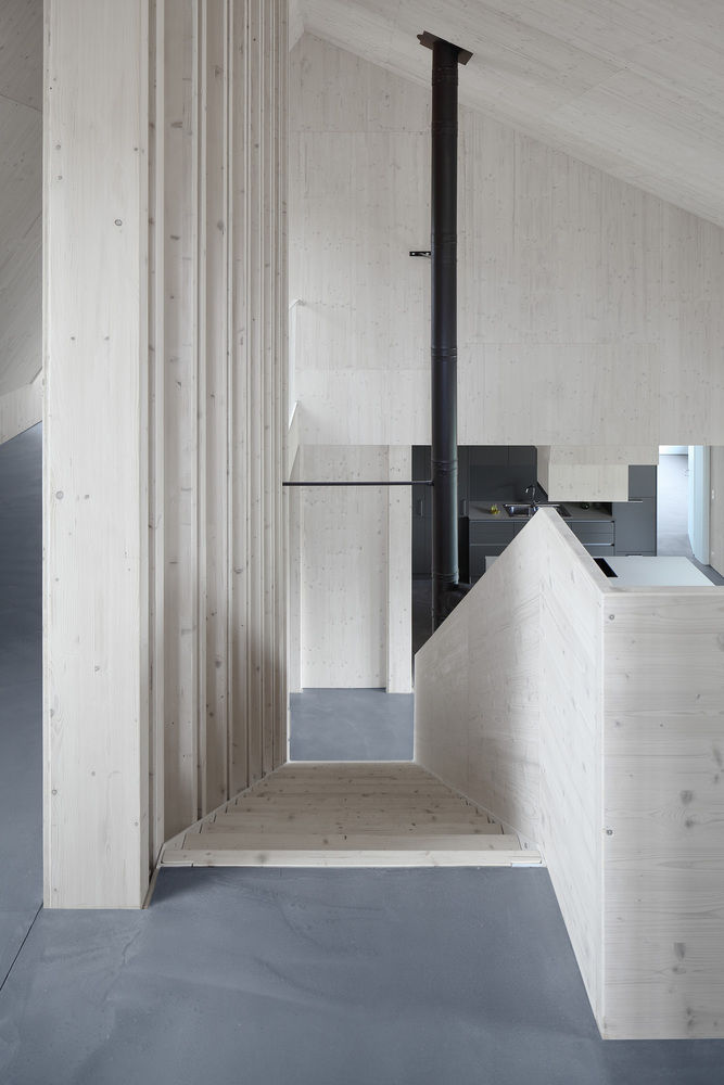 SF住宅 |  Moser und Hager Architekten