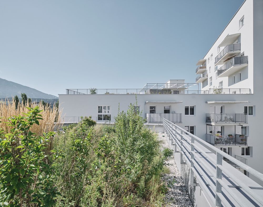 Campagne Innsbruck｜bogenfeld Architektur