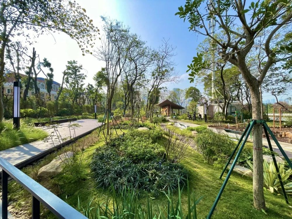 GZLI出品 | 共建城市森林大道 | 白云新城道路绿化焕新颜