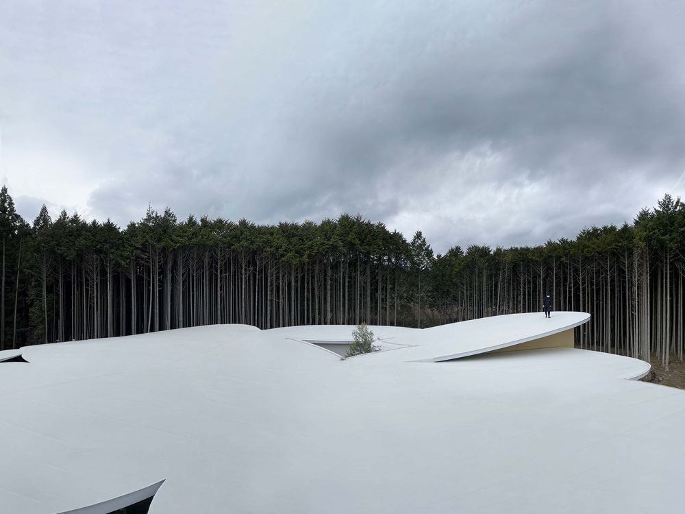 儿童森林 & 高嶺之森幼儿园，日本 / 山下貴成建築設計事務所