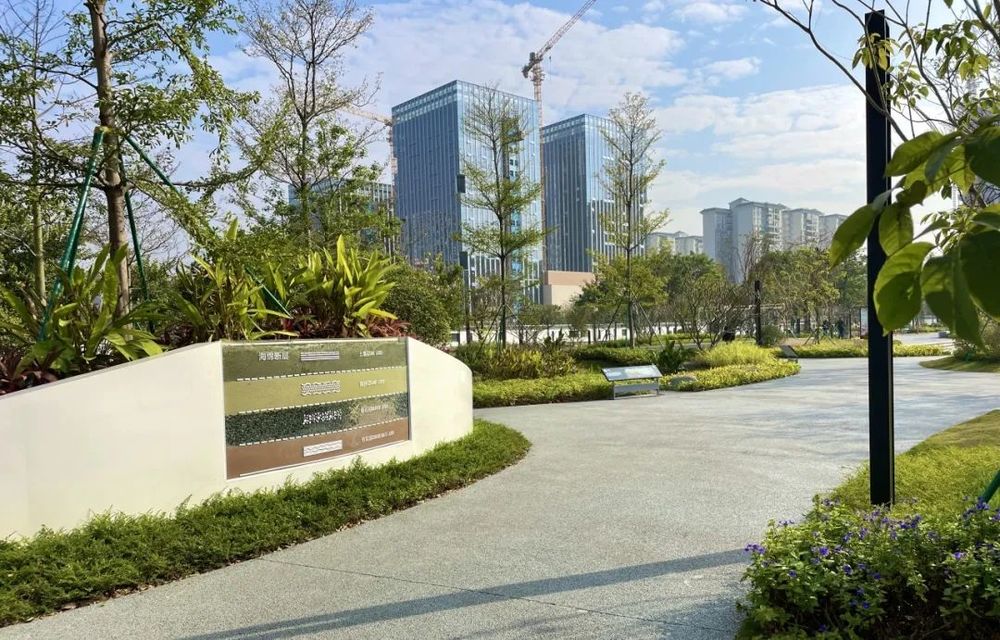 GZLI出品 | 共建城市森林大道 | 白云新城道路绿化焕新颜