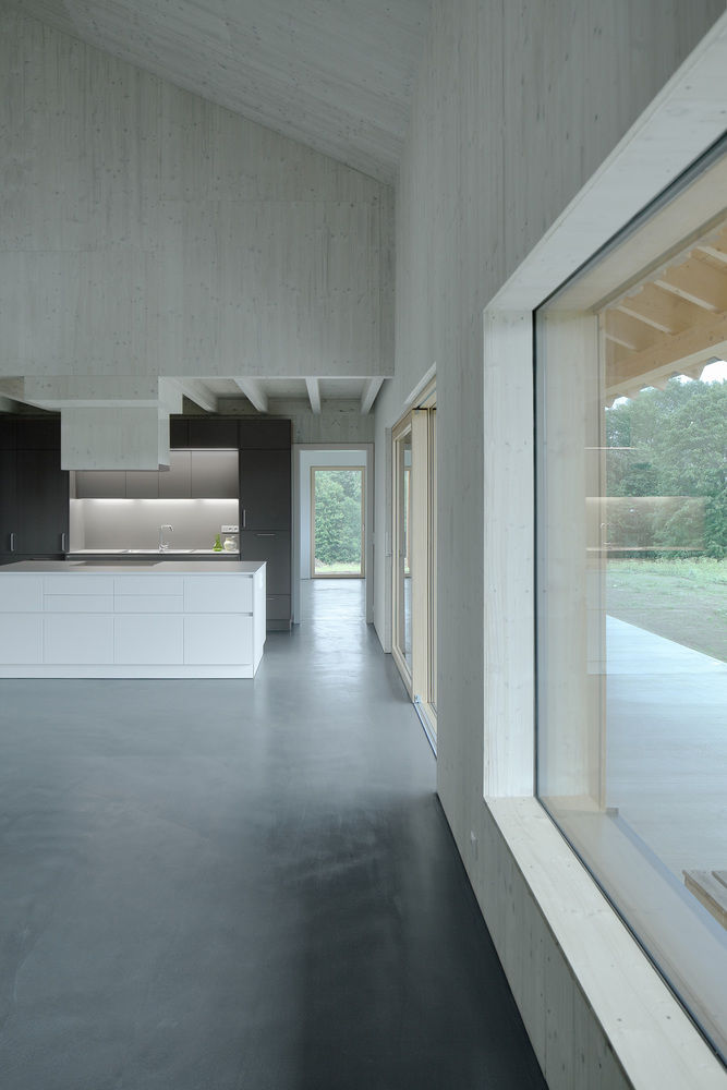 SF住宅 |  Moser und Hager Architekten