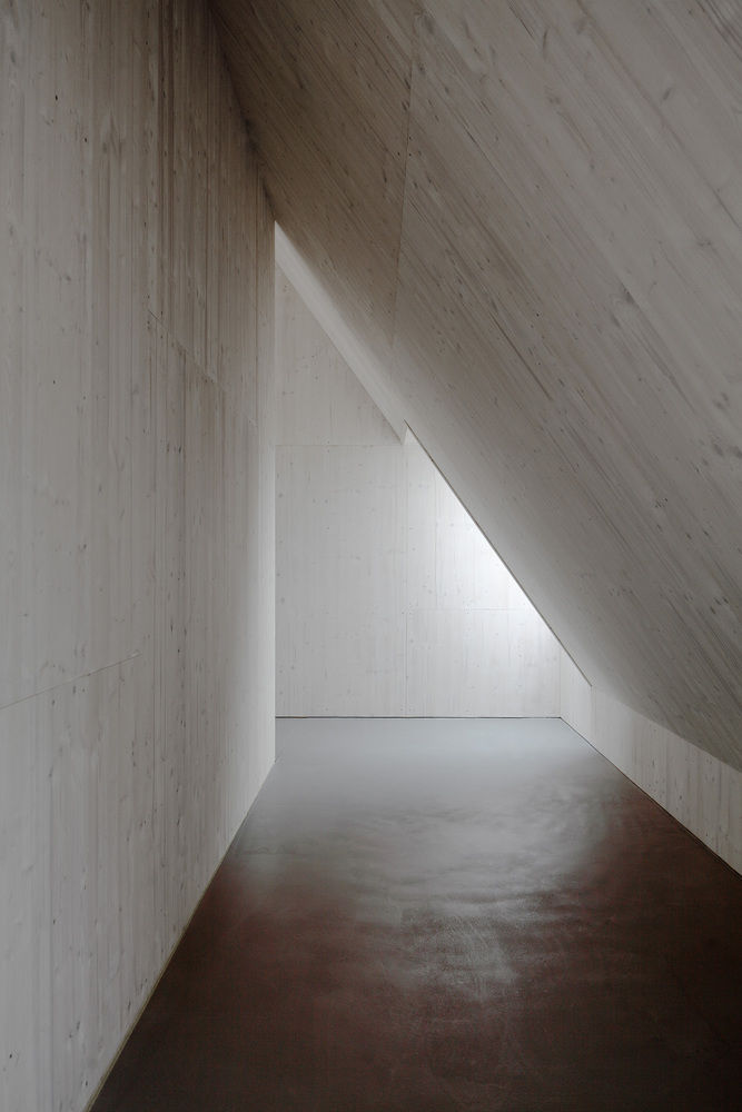 SF住宅 |  Moser und Hager Architekten