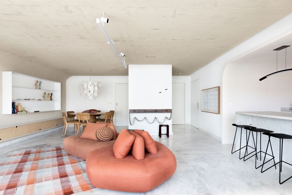 巴西 São Paulo Apartment RR 有机设计空间