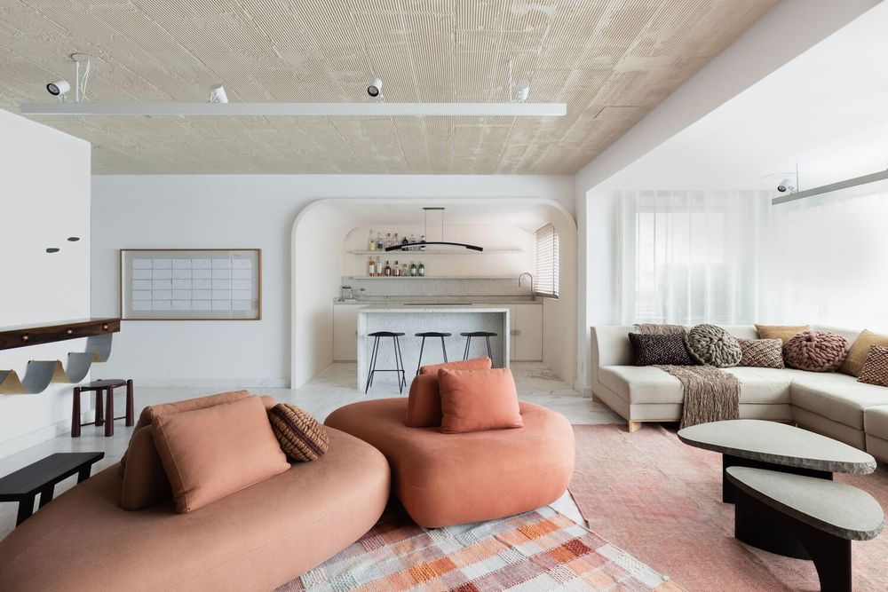 巴西 São Paulo Apartment RR 有机设计空间