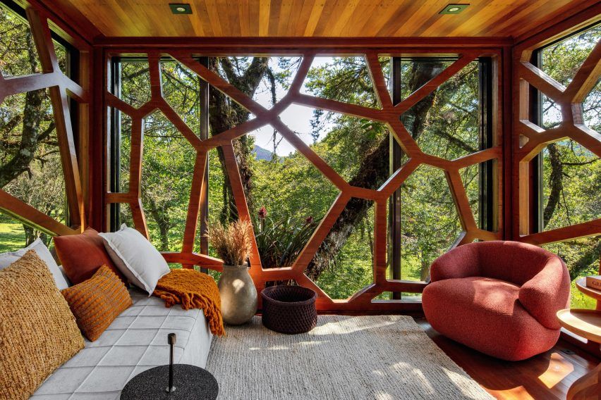 巴西 Tree House | 悬浮于森林的梦幻之家