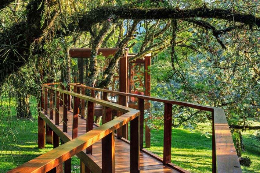 巴西 Tree House | 悬浮于森林的梦幻之家
