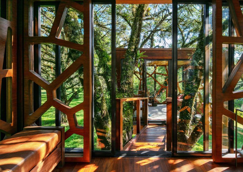 巴西 Tree House | 悬浮于森林的梦幻之家