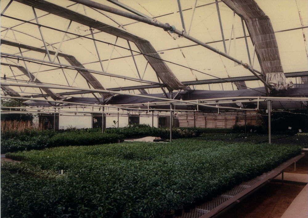 生态绿意科技感 | 1988 年印度班加罗尔生物科技公司总部设计