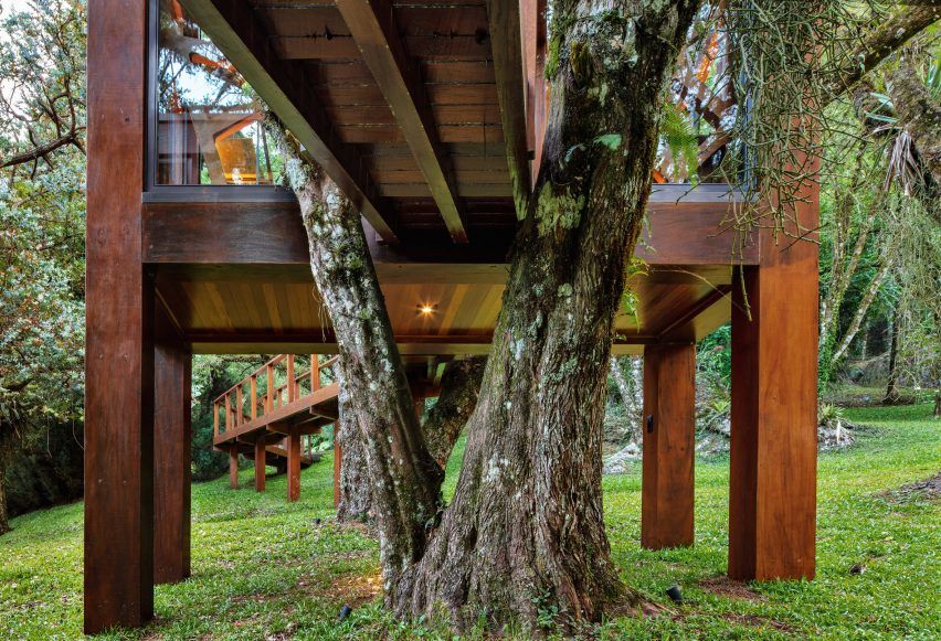巴西 Tree House | 悬浮于森林的梦幻之家