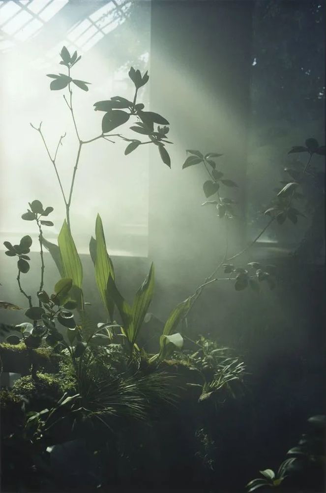 自然雅致餐桌艺术，遇见春天的 NATHAN 与 JUSEN