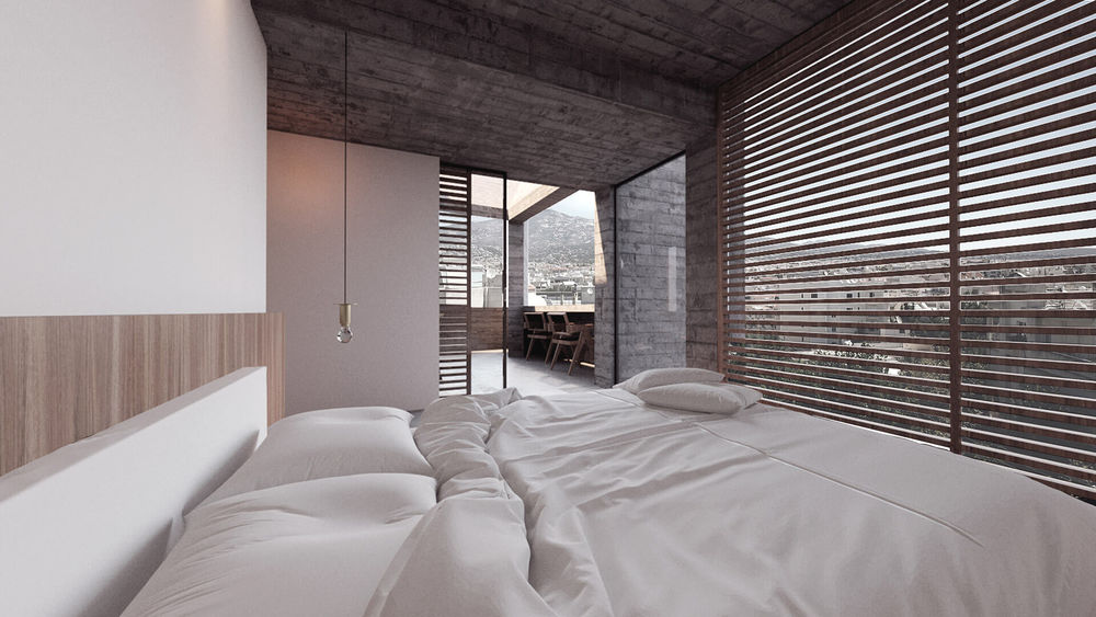 Casa Leone Aristides Dallas Architects