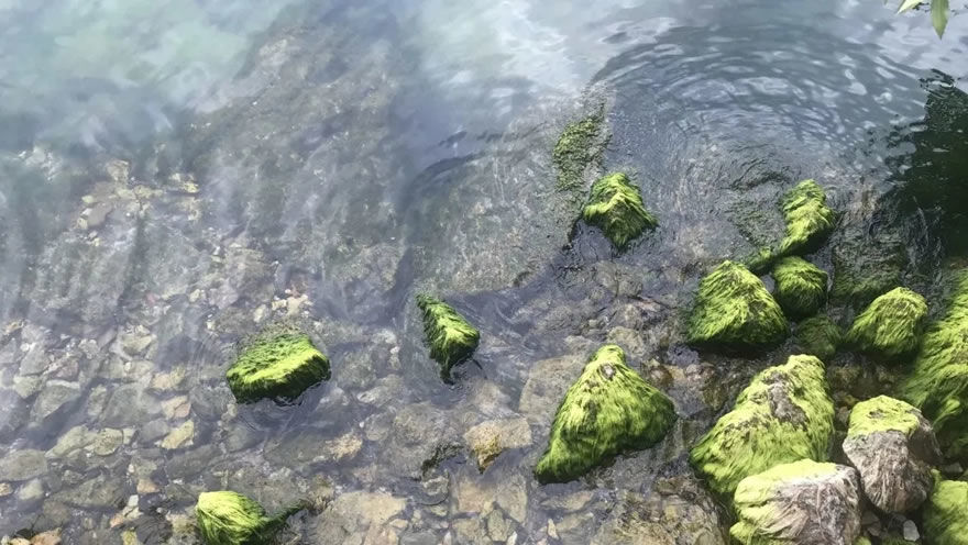抚仙湖畔的生态奇迹 | 龙湖抚仙湖星空小镇