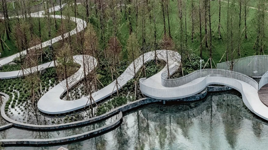 抚仙湖畔的生态奇迹 | 龙湖抚仙湖星空小镇