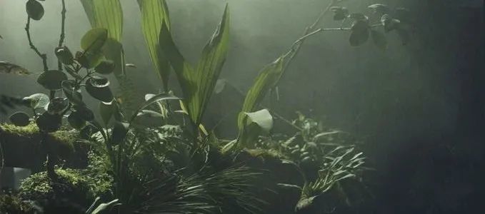 自然雅致餐桌艺术，遇见春天的 NATHAN 与 JUSEN