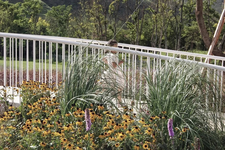 抚仙湖畔的生态奇迹 | 龙湖抚仙湖星空小镇