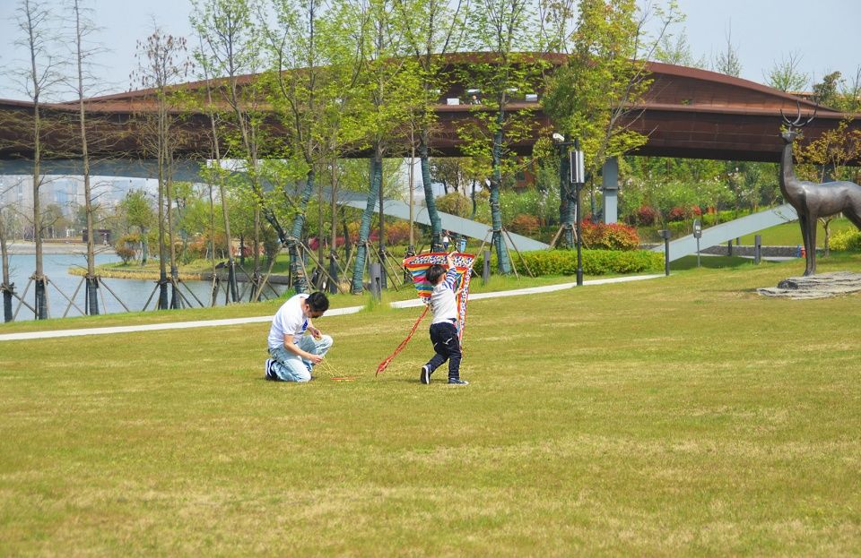 南京河西生态公园 | 水文化复兴的城市滨水空间