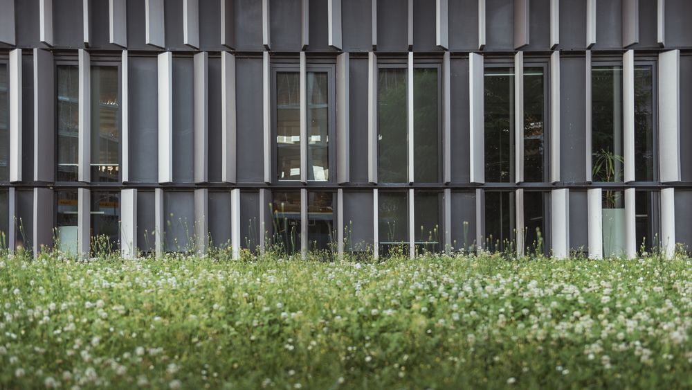 Nestlé HQ - Park Associati
