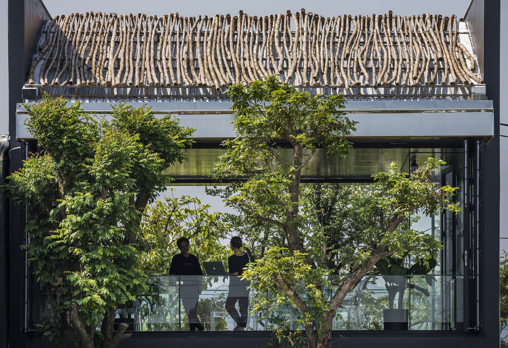 MW archstudio 自然花园式办公空间