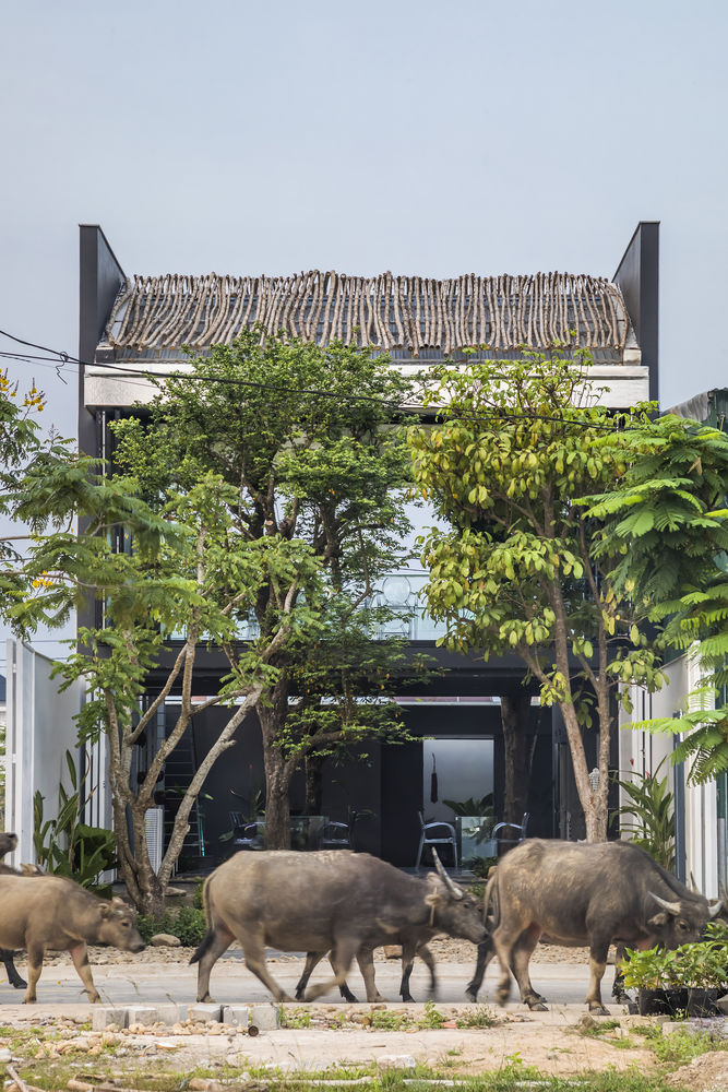 MW archstudio 自然花园式办公空间