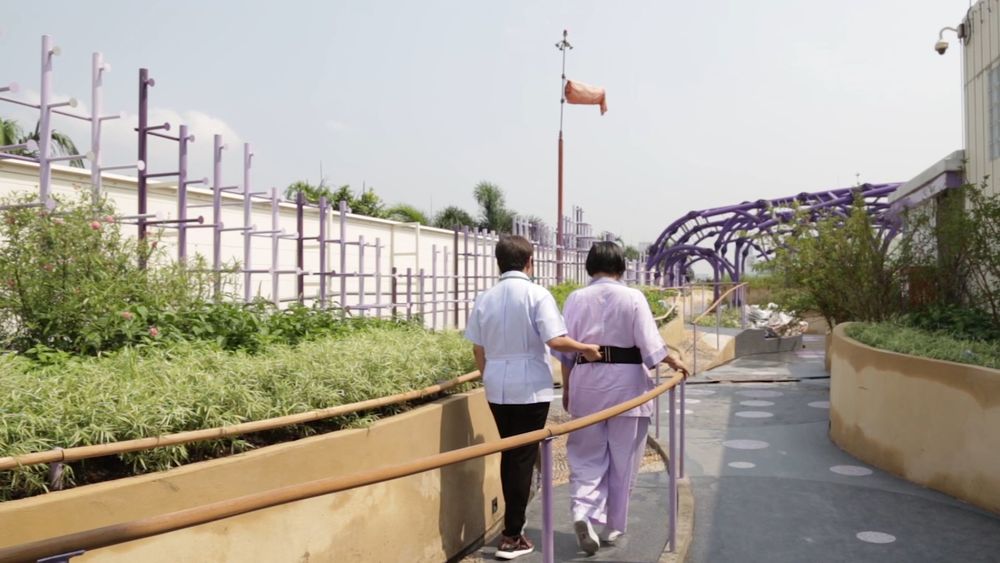 曼谷医院绿色屋顶疗养花园 | 融入自然的健康空间