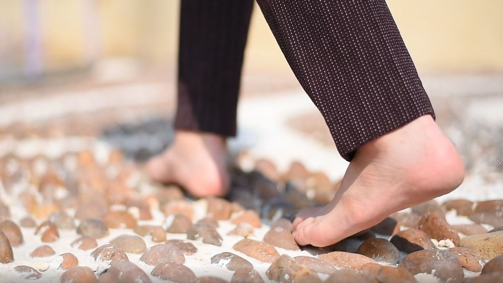 曼谷医院绿色屋顶疗养花园 | 融入自然的健康空间