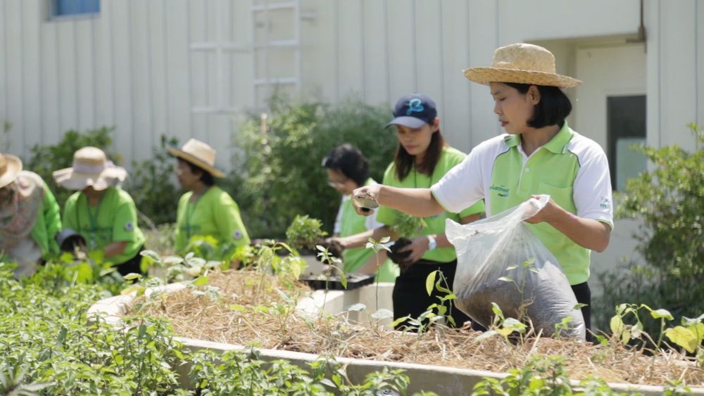 曼谷医院绿色屋顶疗养花园 | 融入自然的健康空间