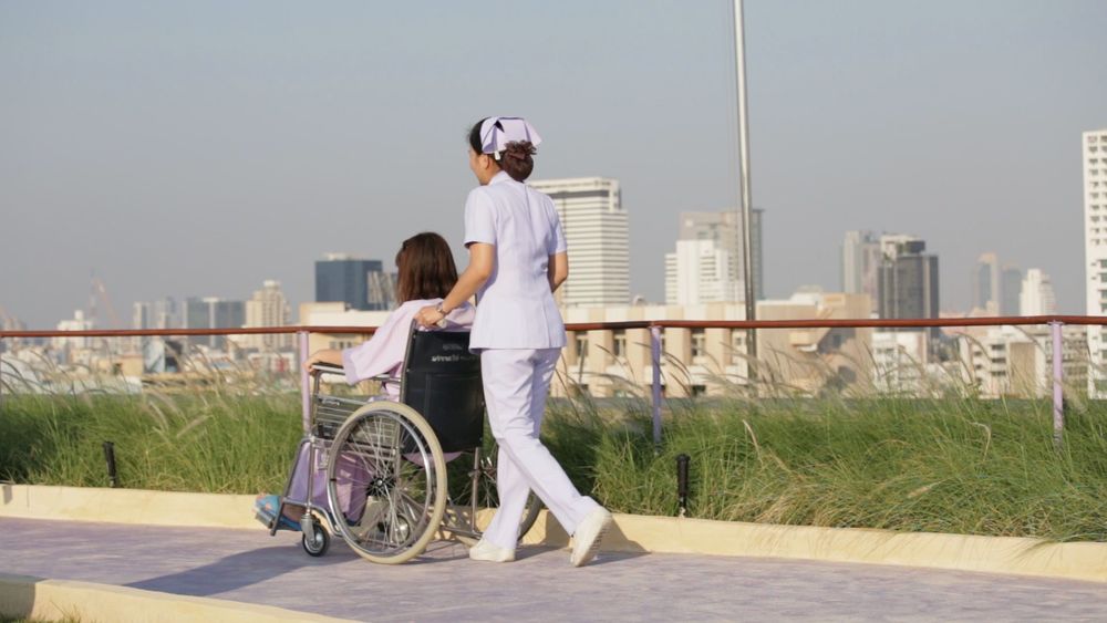 曼谷医院绿色屋顶疗养花园 | 融入自然的健康空间
