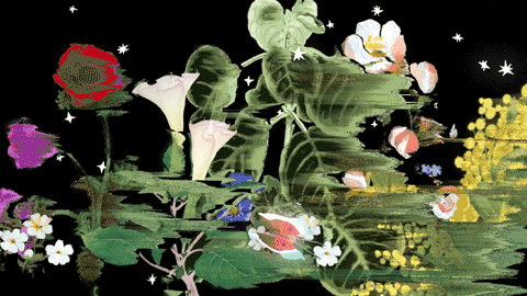 《美，自然触动》 | 鄂尔多斯品牌博物馆沉浸式视频展厅设计
