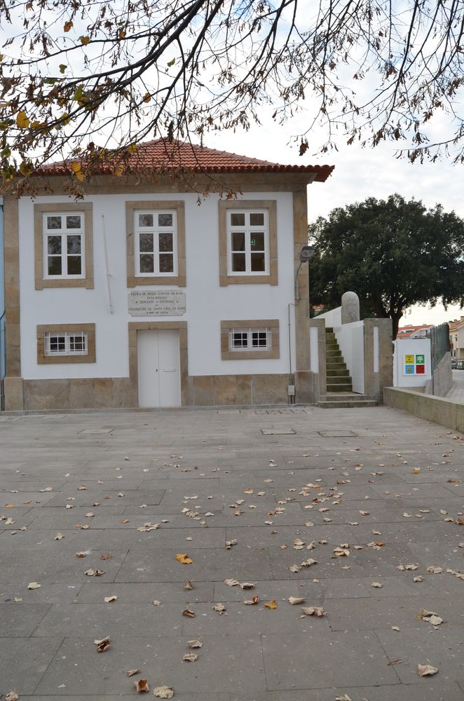 Casa da Árvore
