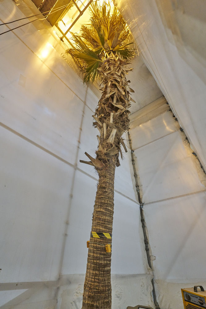 温带温室 | 植物视角的复古建筑奇迹